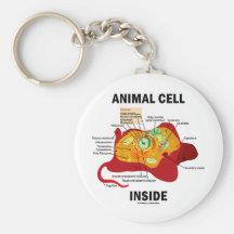 Interior animal de la célula (biología celular del llavero