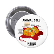 Interior animal de la célula (biología celular del pin