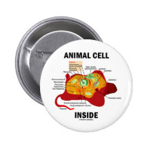 Interior animal de la célula (biología celular del pins