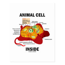 Interior animal de la célula (biología celular del tarjetas postales