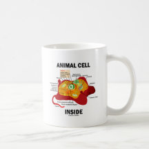 Interior animal de la célula (biología celular del taza de café