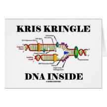 Interior de la DNA de Kris Kringle (réplica de la  Tarjeta