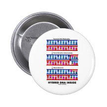 Interior de la DNA del híbrido (DNA recombinante) Pins