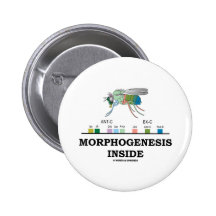 Interior de la morfogénesis (genes de la Drosophil Pin