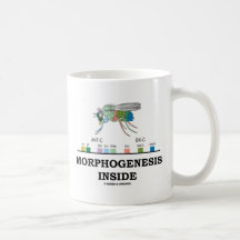 Interior de la morfogénesis (genes de la Drosophil Tazas