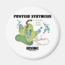Interior de la síntesis de la proteína (biología c iman de nevera