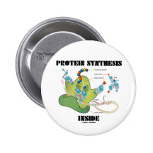 Interior de la síntesis de la proteína (biología c pin