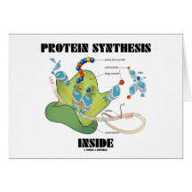 Interior de la síntesis de la proteína (biología c felicitaciones