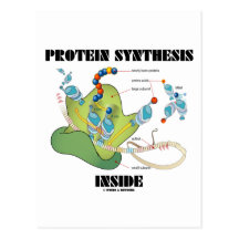 Interior de la síntesis de la proteína (biología c postal