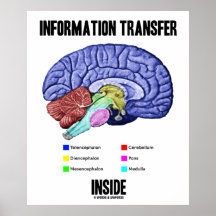 Interior de la transmisión informativa (anatomía d poster