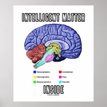 Interior inteligente de la materia (humor anatómic impresiones