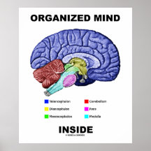 Interior organizado de la mente (actitud anatómica impresiones