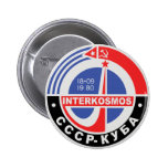 Interkosmos Pins
