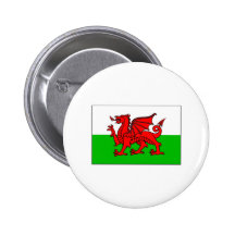 International de la BANDERA de País de Gales Pin