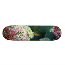 Interpretación artística de la mariposa encaramada tablas de skate