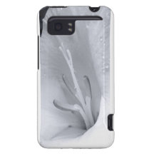 Intimity HTC Vivid Fundas