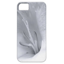 Intimity iPhone 5 Protectores