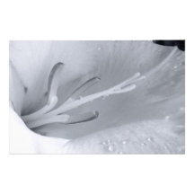 Intimity Papeleria