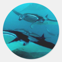 Invasión del Manta Etiquetas Redondas
