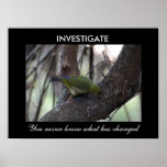 Investigue Poster