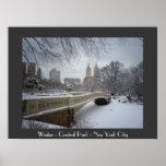 Invierno - Central Park - New York City Posters