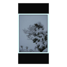 Invierno de la yuca plantilla para tarjeta de foto