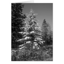 Invierno de Maine Tarjeton