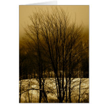 Invierno de niebla de Vermont Tarjetón