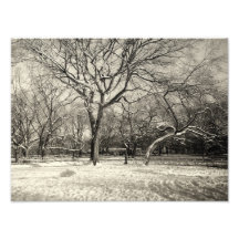 Invierno de Nueva York - nieve del East Village Impresión Fotográfica