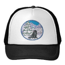 invierno del newfie gorras de camionero