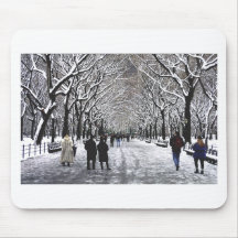 Invierno en el Central Park NYC Alfombrillas De Ratón
