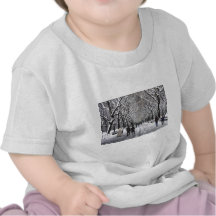 Invierno en el Central Park NYC Camiseta