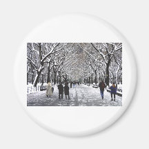 Invierno en el Central Park NYC Iman