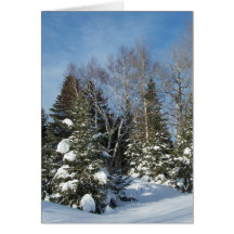 Invierno en Maine Felicitaciones