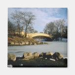 Invierno NYC del Central Park del puente del arco Imán De Frigorifico