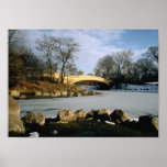 Invierno NYC del Central Park del puente del arco Poster