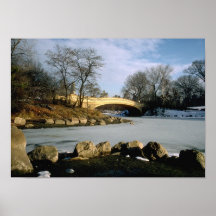 Invierno NYC del Central Park del puente del arco Poster