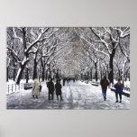Invierno NYC del Central Park Impresiones