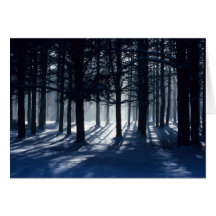 INVIERNO: Pinos en nieve Tarjetón