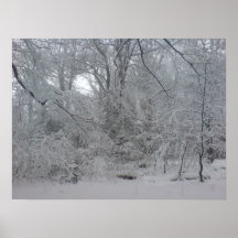 Invierno Poster