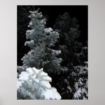 Invierno Impresiones