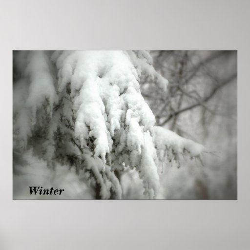 Invierno Poster