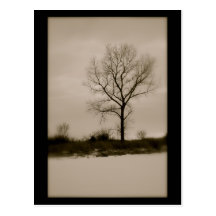 Invierno solo tarjeta postal