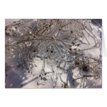 Invierno Tarjetón