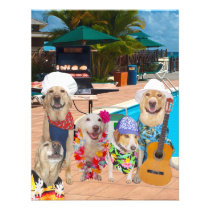Invitación adaptable de la piscina Party/BBQ de lo invitaciones