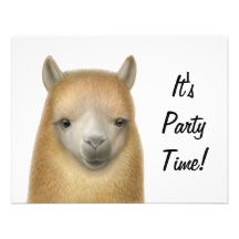 Invitación alerta de la alpaca