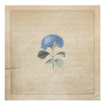 Invitación azul de la ceremonia de boda del Hydran