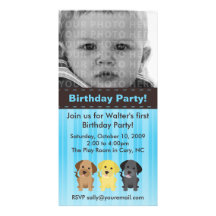 Invitación azul del cumpleaños de Thee Labradors Tarjetas Fotograficas