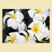 Invitación blanca hawaiana del Plumeria invitaciones