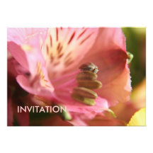 INVITACIÓN blanca/rosada de la flor del Alstroemer